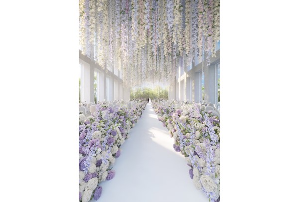 ������Ż��